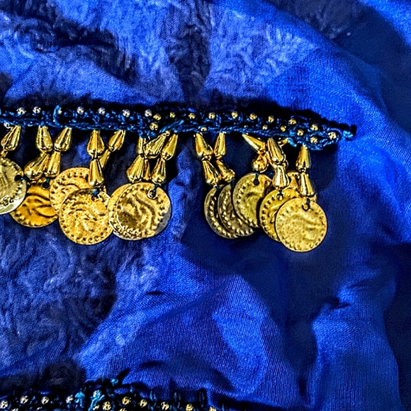 PROFESSIONAL WEIGHT BELLYDANCE COIN BELT - Picture 2 of 2